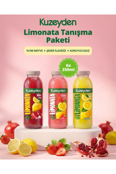KUZEYDEN Limonata Tanışma Paketi | 6x250ml | İlave şeker, katkı ve koruyucu m...