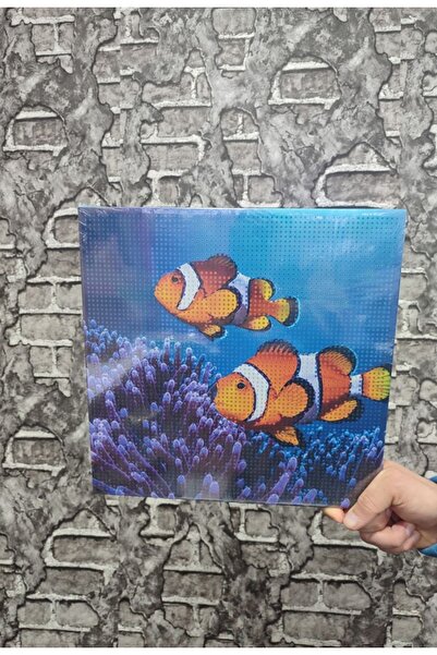 senacacollection Nemo Balık Tuval Elmas Dizme Seti 30x30 cm 1 ADET
