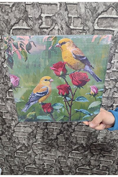 senacacollection Kanarya Tuval Elmas Dizme Seti 30x30 cm 1 ADET