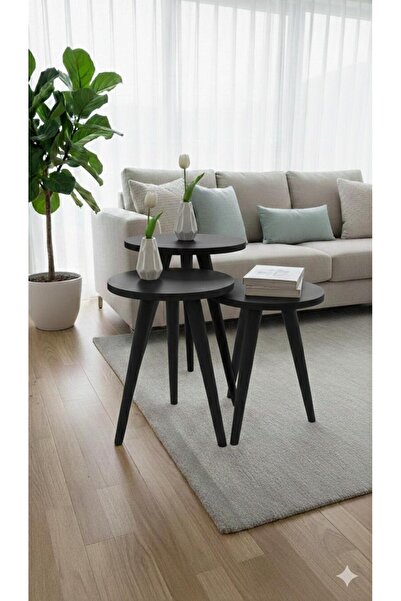 Home PRENSES AHŞAP AYAKLI 18 ML HAM MDF SİYAH LAKE BOYALI ZİGON SEHPA