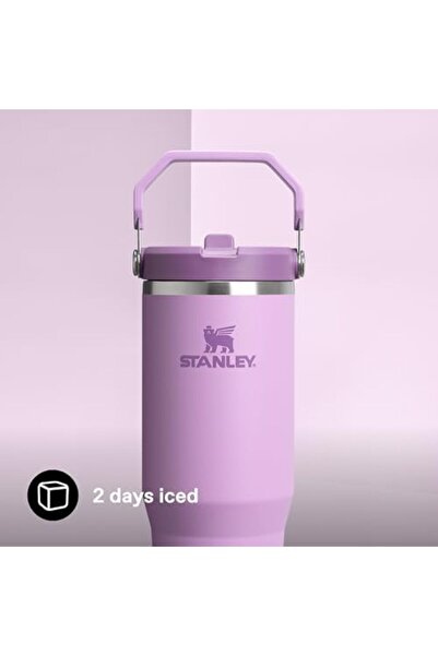 STOREMAX IceFlow Flip Straw Tumbler Pipetli Termos Bardak, Lila, 0.89 Litre 1...