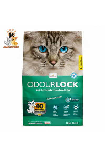 RRD اودور ٦ لتر