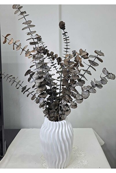 Birlik Okaliptüs Şoklanmış Kahverengi Doğal