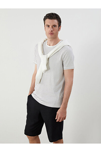 LC Waikiki Southblue Crew Neck Striped Men's T-Shirt