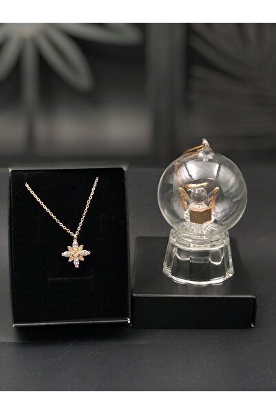 Denseden Special Valentine's Day Gift on February 14: Color-Changing Globe an...