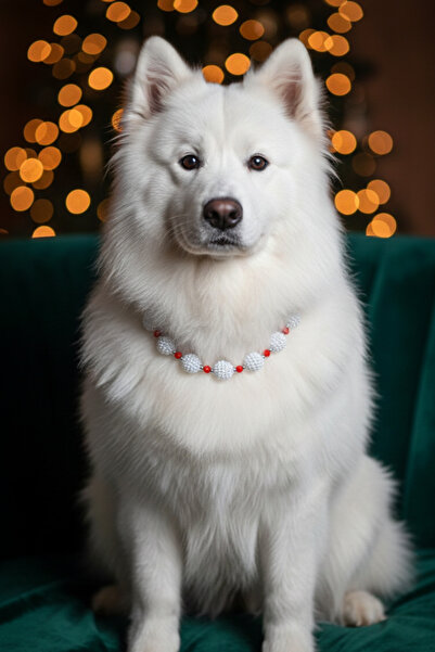 Stoneage قلادة على شكل طوق للكلاب بنكهة التوت الأزرق