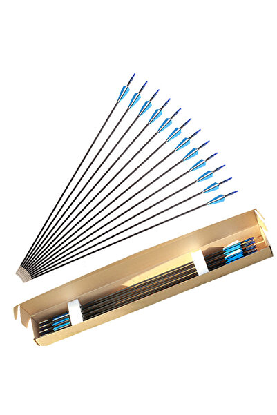 Sumkyle Arrows 12 Pack Beginner First Arrows Quiver Ideal for Adults and Begi...