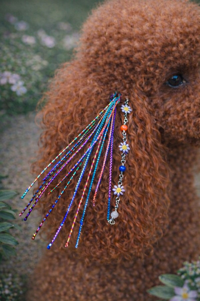 LOOL PREMİUM KÖPEK TOKASI SAÇ İPİ AKSESUARI KÖPEK TÜYÜ ÇIT ÇIT TOKA