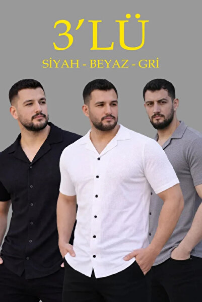 Generic Brand Men's Waffle Woven Open Collar Buttoned Regular Fit 3-Piece Shi...