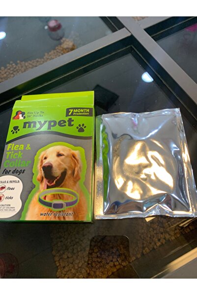Antikapetshop Köpek Haşere Kovucu Tasma - bit, kene, pire koruyucu tasma