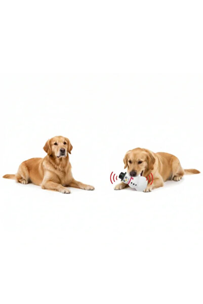 Epilons Sound Snowman Design Toy