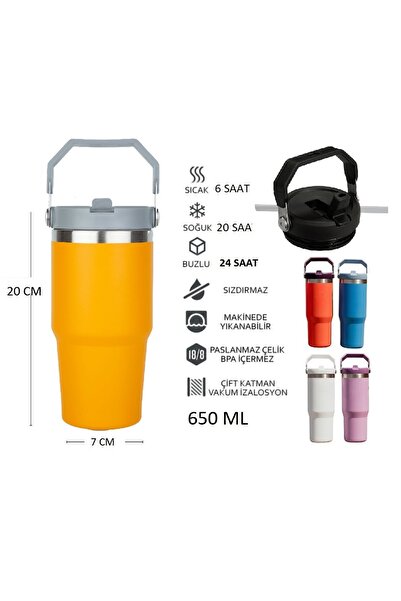 Globox Steel Thermos with Straw and Handle Wide Top 650 ml