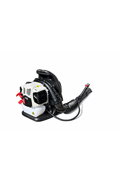 FSCHO Gasoline-powered leaf blower – 1.7KW power for garden cleaning and remo...