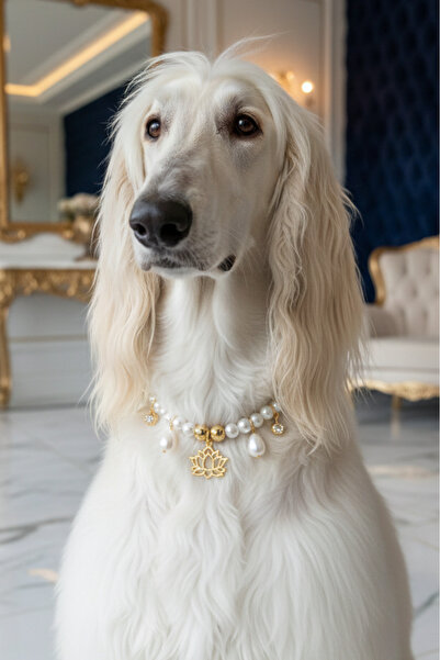 Stoneage قلادة للكلاب مزينة باللؤلؤ - طوق - سلسلة