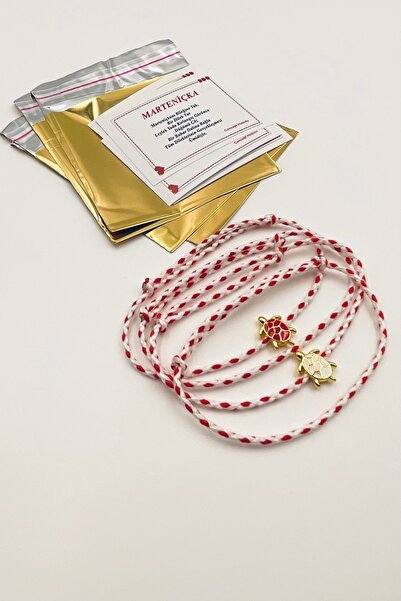 Concept HuBuTU Gift Set with 4 Cards, Gelatin Turtle Figure, Luxury Drawstrin...