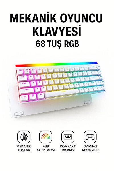 EN SİGA Mekanik Kablolu Oyuncu Klavyesi | RGB Aydınlatmalı 68 Tuş Türkçe Q