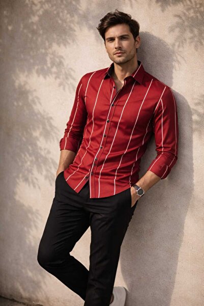 Louis Fabel Thin Striped Long Sleeve Men's Shirt