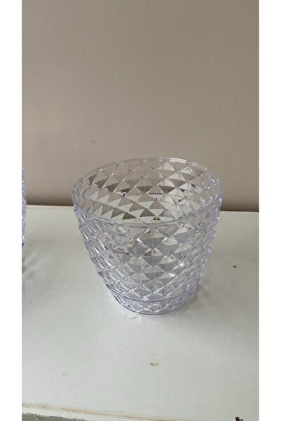 ÇELİK PEYZAJ VE ÇİÇEKÇİLİK ORKİDE SAKSISI ŞEFFAF (2,3,4)