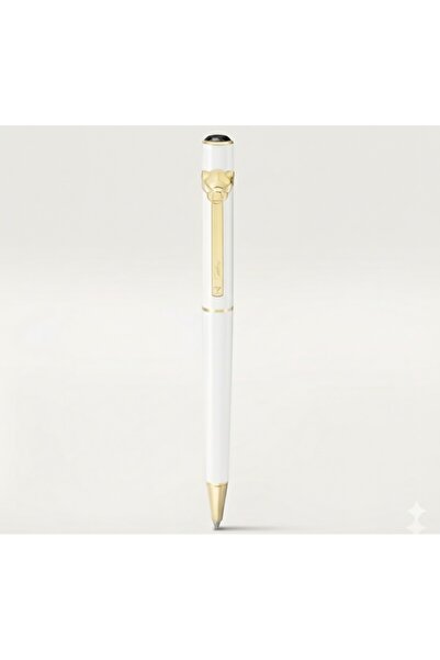 CAAT Luxury pen with accessories
