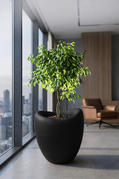 KastaSaksı 43x45 cm beton dokulu Polyester siyah Amorf dekoratif polyester saksı