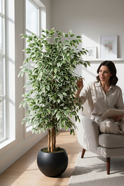ERHAN FLOWERS Yapay Ficus Ağaç 190 cm Siyah Küre Saksı