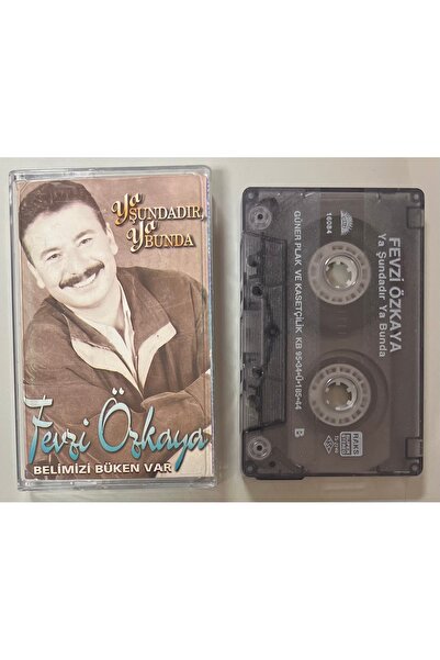 Raks فيزى أوزكايا هي كاسيت متكاملة أو كاسيت منفصلة