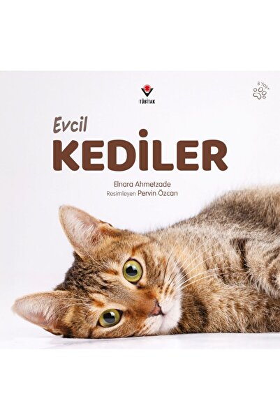 Tübitak Yayınları TÜBİTAK-EVCİL KEDİLER-Eğlenceli ve İlginç Dünyası