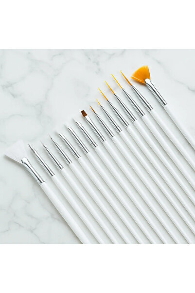 Poyrish Brush Set for Paints 15 Pieces