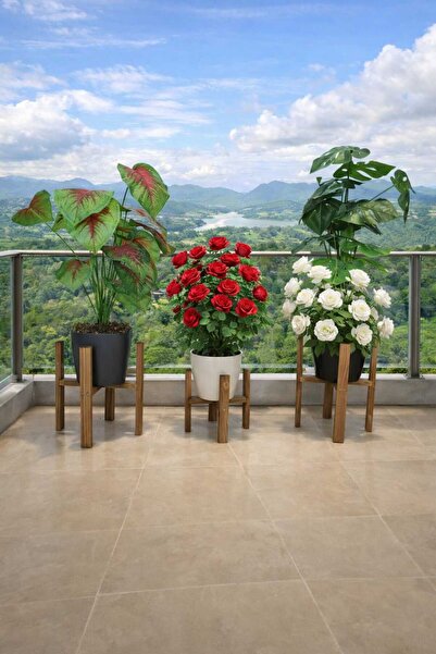 KOVANCI MARANGOZ DEDE 3 LÜ DEKORATİF AHŞAP SAKSILIK SAKSI STANDI ÇİÇEKLİK