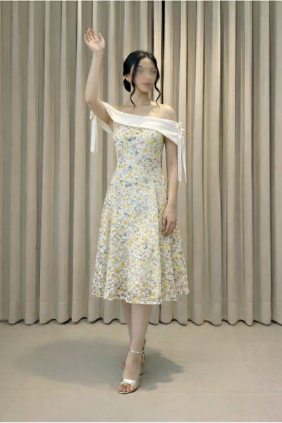 Savina Anoud's dress