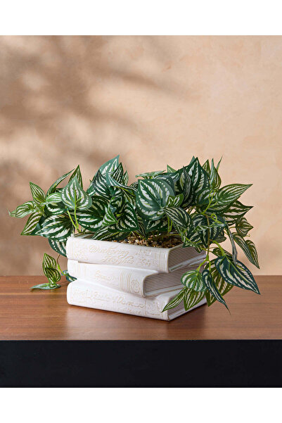 REDTAG White Artificial Watermelon Peperomia In Book Stack Pot