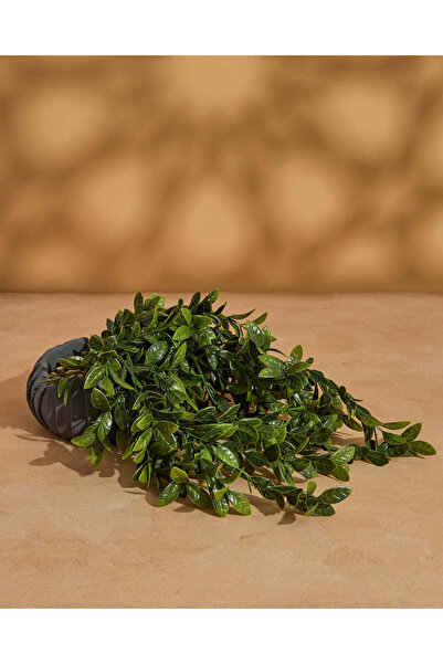 REDTAG Artificial Creeper In Cement Pot