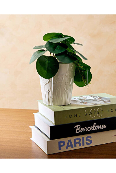 REDTAG Green Artificial Plant With White Ceramic Planter