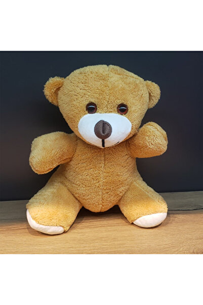 ZS DEMİR Brown Plush Teddy Bear