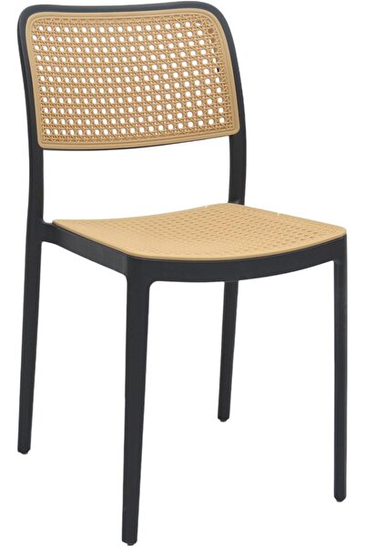 Afifa Furniture Black & Brown Plastic Chair