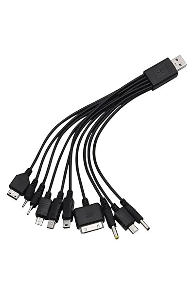 Generic 10-in-1 Multi-Port Charging Cable - Durable Type-C Cable for Old and ...