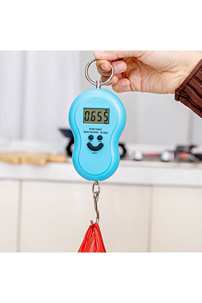 Goldorion Dijital Hassas El Kantarı - Portatif Askılı Bavul ve Mutfak Terazisi