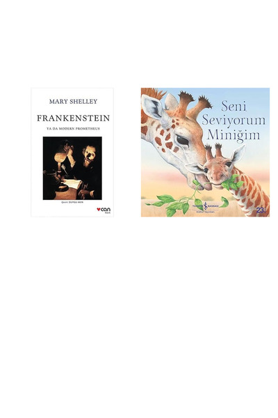 TÜRKİYE İŞ BANKASI KÜLTÜR YAYINLARI Frankenstein ya da Modern Prometheus: Fra...