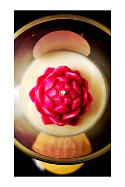 YD شمعة معطرة طبيعياً، نباتية، غير سامة، آمنة للحيوانات الأليفة، مصنوعة من شم...