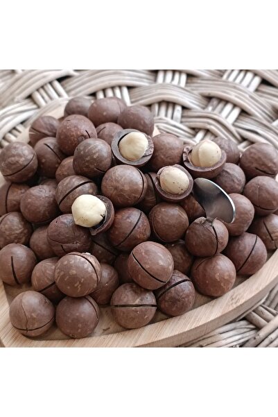 KAYISICENTER Toptan Kabuklu Kavrulmuş Makademya Fındığı 10 Kg