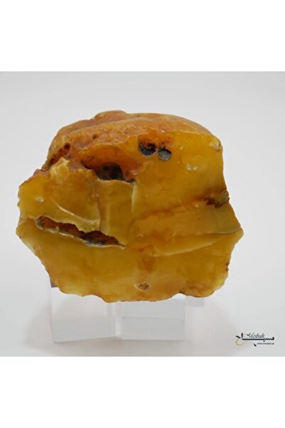 genernic Baltic amber stone 271.5 g