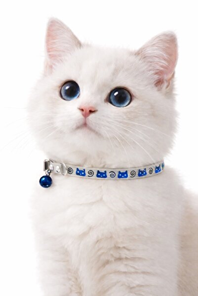 PHENORA Phosphorescent Jingle Cat Collar | Stylish Glow-in-the-Dark Cat Neckl...