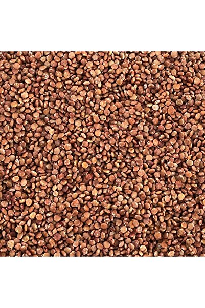 Organik Kiler Sumak Tane 500 g