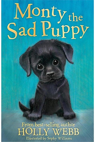 Little Tiger Press Holly Webb Animal Stories: Monty the Sad Puppy