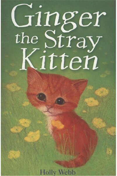 Little Tiger Press Holly Webb Animal Stories: Ginger the Stray Kitten