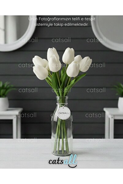 catsall Gerçek Dokulu Islak Tulip Lale Buketi Beyaz 8'li