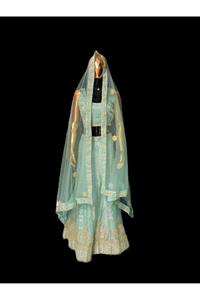 Aashiv's Collection ليهينغا