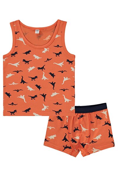 Civil Boys Dinosaur Underwear Set for Ages 2-10 - Standard for 6-7 Years Old