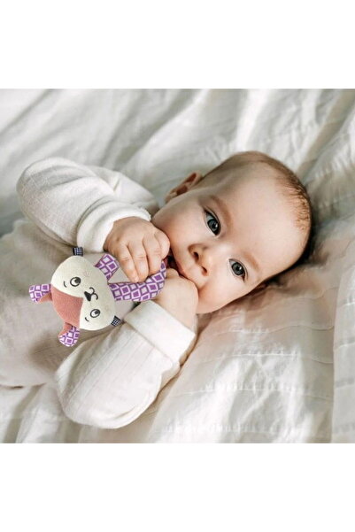 Babyjem Jucarie din plus zornaitoare Pisicuta, + 3 luni, BabyJem, Roz