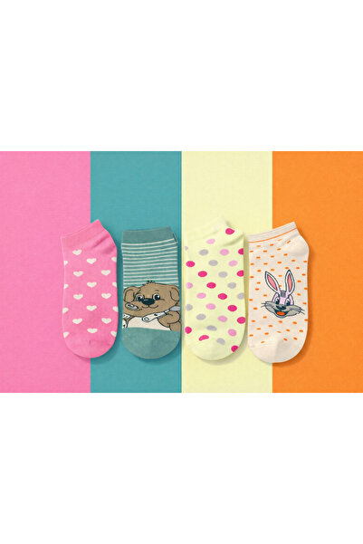 Black Arden Socks Kadın Renkli Patik Çorap 4'li Pamuklu Rahat Günlük Black Ar...